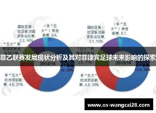 菲乙联赛发展现状分析及其对菲律宾足球未来影响的探索