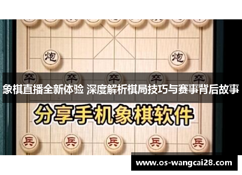 象棋直播全新体验 深度解析棋局技巧与赛事背后故事