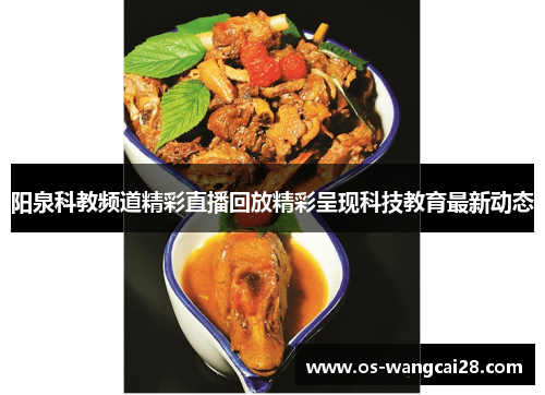 阳泉科教频道精彩直播回放精彩呈现科技教育最新动态