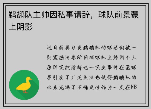 鹈鹕队主帅因私事请辞，球队前景蒙上阴影